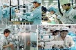 Thúc đẩy cộng đồng DN Việt Nam phát triển bền vững